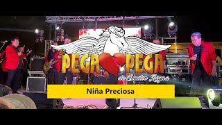 El Pega Pega Pegasso  Niña Preciosa [upl. by Relluf185]