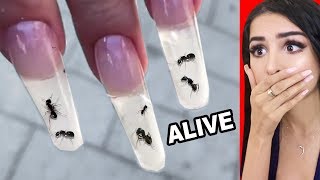 Weirdest NAIL ART that should NOT EXIST 2 [upl. by Auroora]