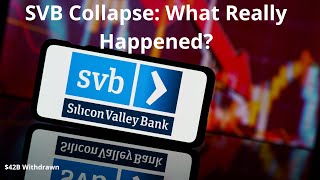 Silicon Valley Bank Collapses What Really Happened [upl. by Gerianne437]