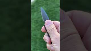 Micro Hornet OTF Knife  knife tactical otfknife ravencresttactical [upl. by Losyram]