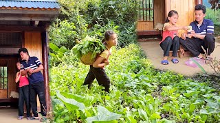 Phuong Vy takes care of and buys milk for her father after returning home from selling vegetables [upl. by Aisetal]