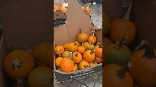 maastricht friday market farmersmarket freshfruits cheese autumn october [upl. by Ameluz]