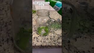 Quick and easy mojito recipe  Virgin mojito foodeasyrecipeindianshortsshortvideomojito [upl. by Dustman]