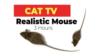 CAT GAMES  Realistic Mouse HD  3 HOURS Video for Cats amp Dogs to watch [upl. by Aidyl]