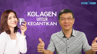 Kolagen untuk Kecantikan [upl. by Nybbor]