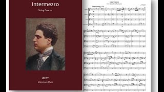 Intermezzo from Cavalleria Rusticana [upl. by Ellekcim]