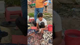 Amazing Big Poti Fish Super First Cutting fish fishcutting youtubeshorts [upl. by Imuy]