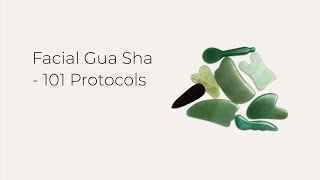 Facial Gua Sha  101 Protocols [upl. by Dulsea440]