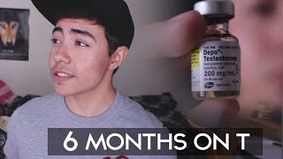 6 MONTHS ON TESTOSTERONE COMPARISON  FTM TRANSGENDER [upl. by Atsiuqal]