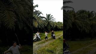 Respect pejalan kaki mengusir begal viralvideo action comedy viralshort funny fyp india all [upl. by Enisamoht970]