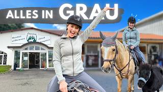 ALLES IN GRAU  Shoppen [upl. by Bell467]