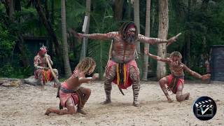 Aboriginal dance show  Australia [upl. by Socram752]