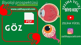 Duyu Organları  GÖZ ayt sistemler [upl. by Patience388]