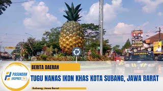 Mengapa NANAS Ikon Kota Subang [upl. by Pascia]