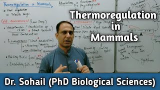 Thermoregulation in MammalsMan  12th Biology  NMDCAT Biology  Dr Sohail [upl. by Eadrahs]