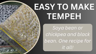 NO INCUBATOR needed Tempeh Make delicious homemade tempeh WITHOUT specialist equipment [upl. by Solita]