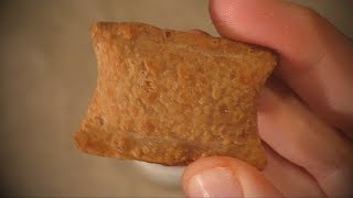 ASMR Eating Pizza Rolls with Tiger Sauce No talking [upl. by Cerveny428]