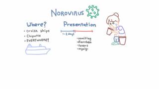 Norovirus  Epidemiology Clinical Presentation and Prevention [upl. by Sinclair]