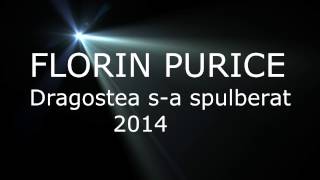 Florin Purice  Dragostea sa spulberat  HiT 2014 [upl. by Mohr]