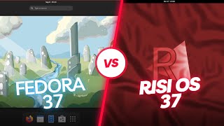 Fedora 37 VS risiOS 37 RAM Consumption [upl. by Mcgill]