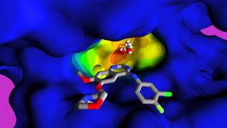 Drug Resistance [upl. by Krebs]