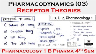 Receptors pharmacology  Receptor theories and Classification of receptors  L3 U2  Pharmacology [upl. by Benil]