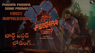 PUSHPA PUSHPA Song Promo FIRST IMPRESSION  Pushpa 2 The Rule  Allu Arjun  Solid Movie Stuff [upl. by Aiket129]