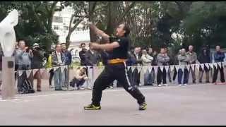 Dragon style kung fuMichael Chan71yoMui far kuenKung fu corner [upl. by Kall]