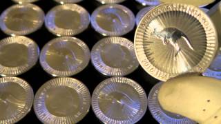 2016 Silver Kangaroo Coins 2 Week Update [upl. by Aloeda356]