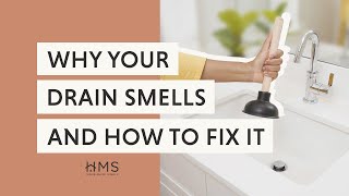 WHY YOUR DRAIN SMELLS AND HOW TO FIX IT [upl. by Barnebas]