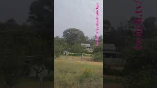 VLINE Southern Cross To Albury NSW 121124 victoria shorts shortvideo train travel views [upl. by Akimet]