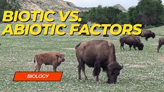 Biotic vs Abiotic Factors [upl. by Grimona818]