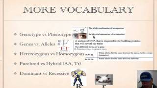 Genetics Vocabulary Tutorial [upl. by Mcadams]