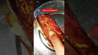 Sham ka bandobast food motivation foodie thali trending thalifans indiancuisine sanwich [upl. by Alrzc]