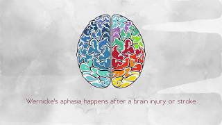 What Is Wernickes Aphasia [upl. by Hawk]