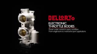 DELLORTO Families  Throttle Bodies [upl. by Virgin116]