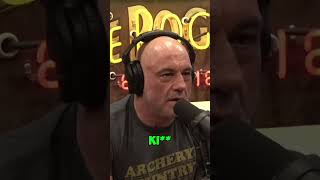 Joe Rogan on Baboons Raising Dogs for Protection at Night [upl. by Ivetts]