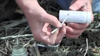 Testing Soil Phosphate [upl. by Ahsela]