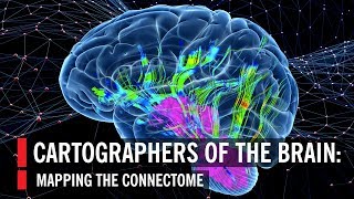 Cartographers of the Brain Mapping the Connectome [upl. by Ajit]