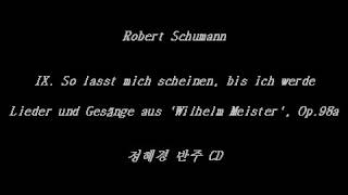 So lasst mich scheinen bis ich werde Robert Schumann  Accompaniment [upl. by Dodi548]