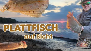 Fliegenfischen gezielt auf Plattfisch an der Ostsee [upl. by Ydissac]