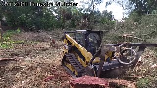 CAT 289D Forestry Mulcher OnSiteTrav [upl. by Trotter713]