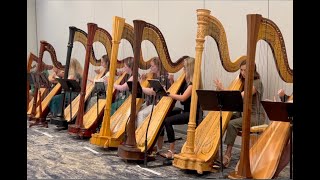 BY THE SHADE OF THE PALMS  Alfredo Rolando Ortiz  For 3 harps or ensemble [upl. by Ellener]