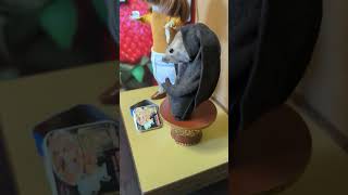 Tea Time With Quentin amp Comfrey Rat Edition taxidermy miniatures quentinsmirhes diorama [upl. by Aisyle617]