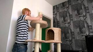 Natural Home IV Cat Tree Assembly Timelapse [upl. by Eniffit]