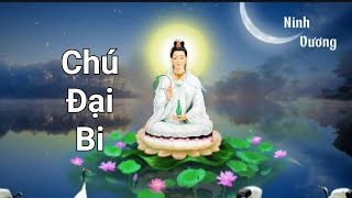 CHÚ ĐẠI BI Nghe 7 Biến Mỗi Ngày Cầu Gì Được Đấy [upl. by Elleirbag]