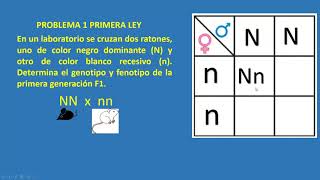 PROBLEMAS DE PRIMERA Y SEGUNDA LEY [upl. by Padegs988]