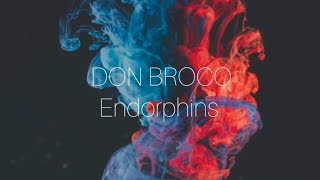 DON BROCOEndorphins Lyrics [upl. by Hilleary635]