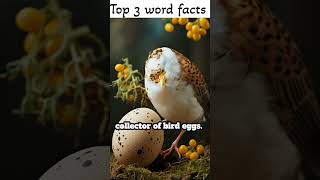 Top three word facts that will wow you 😲shorts [upl. by Callista831]