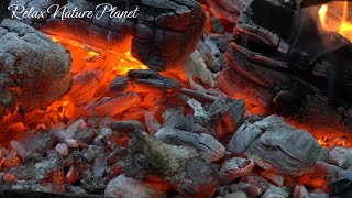 Sonido de Chimenea Relájate con el calor de las Brasas que te Refugian del Frío del Invierno [upl. by Jamaal]